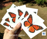 large monarch tattoos