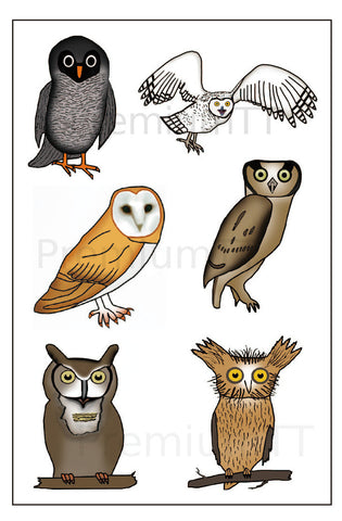 Owl Temporary Tattoos
