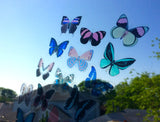 butterfly window decals