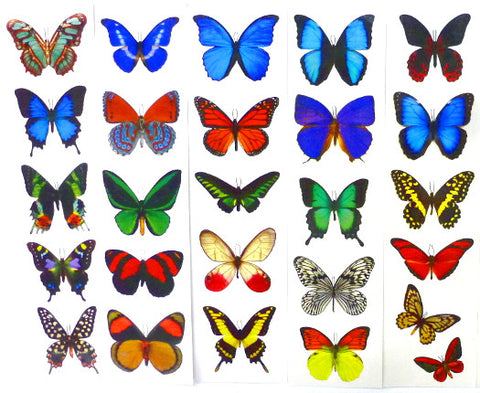 Temporary Fake Butterfly Tattoos - 5 Sheets – Premium Temporary