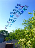 butterfly window stickers