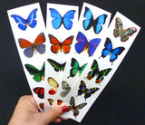 Temporary Butterfly Tattoos - 5 Sheets