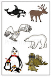 artic animals temporary tattoos