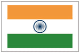 indian flag tattoo