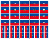 Haiti Flag Temporary Tattoo