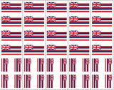 Hawaii Flag Temporary Tattoo