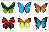 Large Butterfly Temporary Tattoos