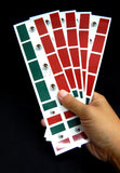 Mexican Flag Stickers