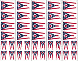 Ohio Flag Temporary tattoo