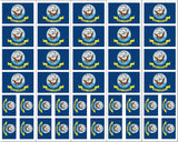 U.S. Navy Flag tattoos
